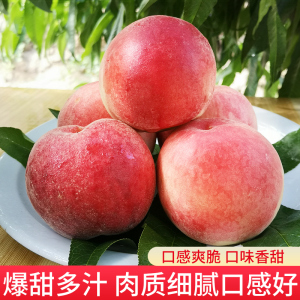 ずっと好きだつた在线中文