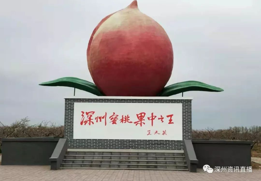 韩国美女2020vip内部视频