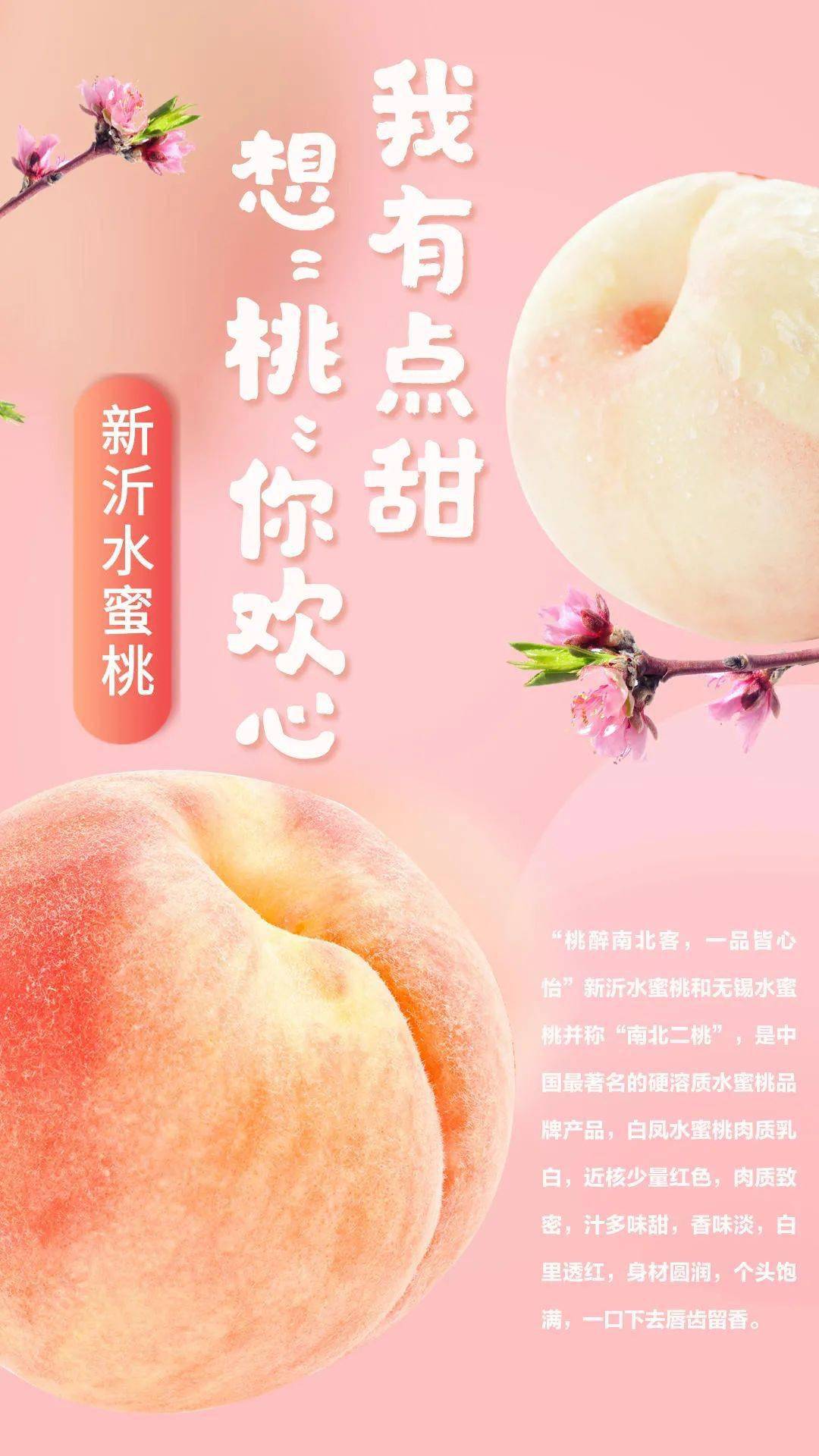 国漫同人动漫动画在线 国漫“国漫同人”等关键词