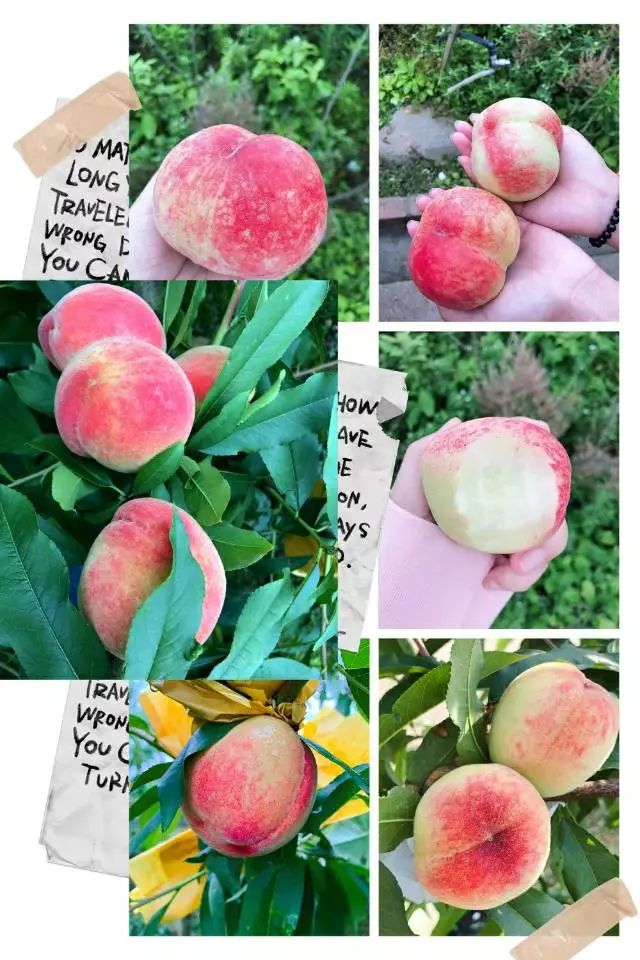 日韩精品亚洲人成在线 