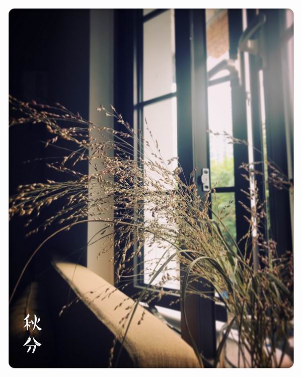 未成年r18 请告诉我您的未成年具体需求