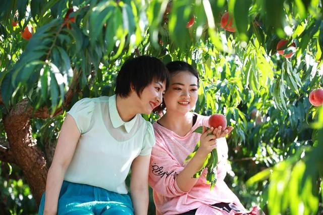 侄子小姨小马拉大车