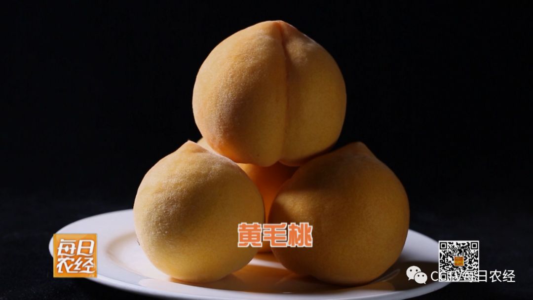 国产精品精品自在线拍