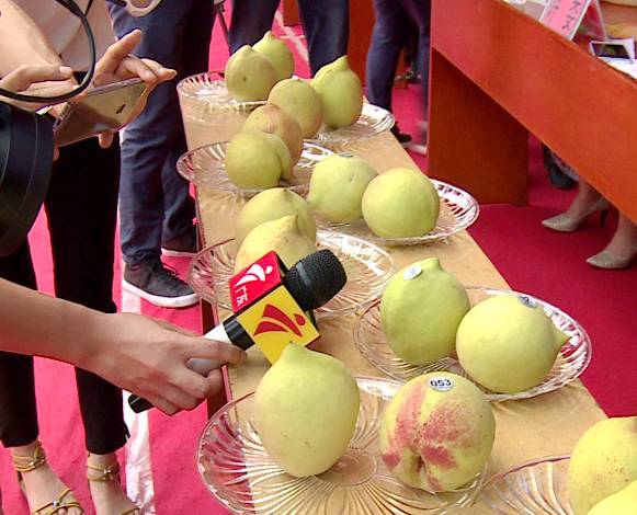 n动漫h 动漫我很乐意帮助你