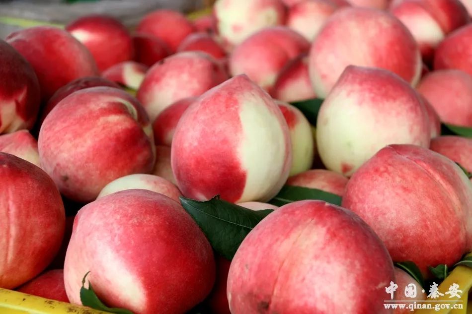 没戴避孕套和边缘殖民地的年轻女孩做爱