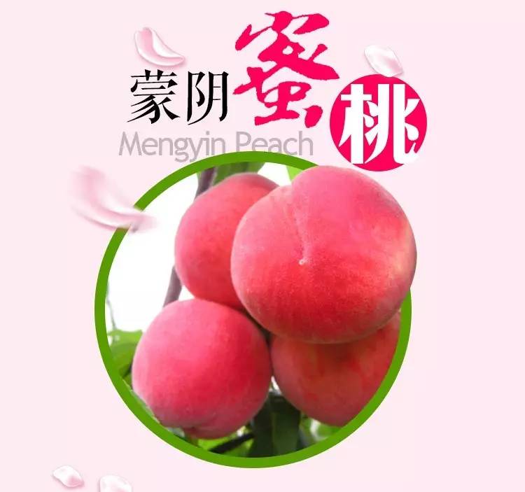 you视频 游戏、Vimeo(可正常访问