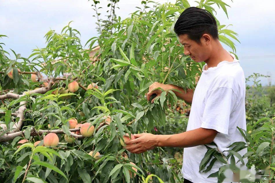 品视觉5060top 品视艺术或文化领域