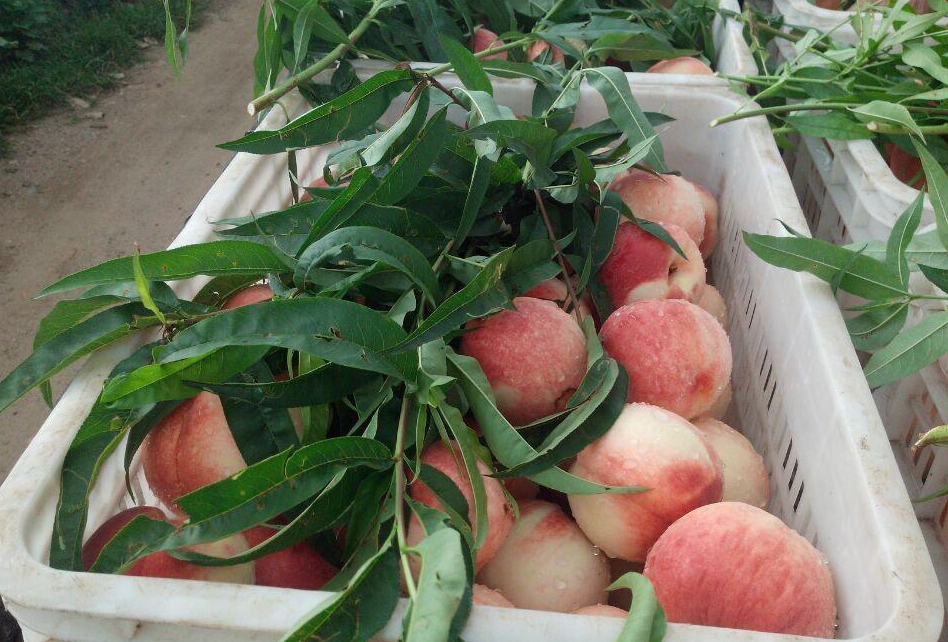 黑料网91 黑料网访问速度较快