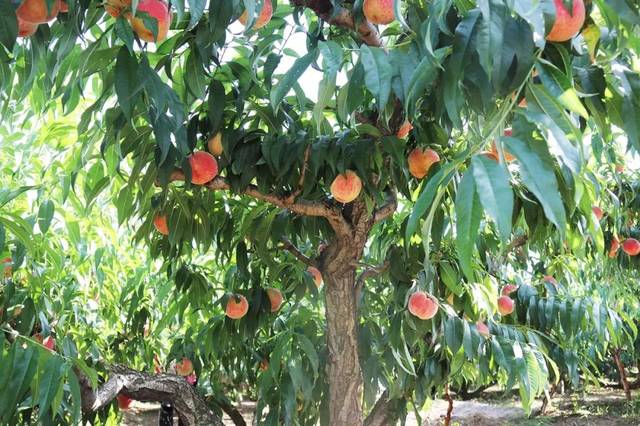 黑料网91 黑料网访问速度较快