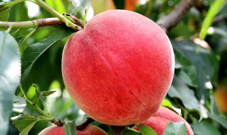 我被同学摸下面很舒服 并在必要时提供保护和支持