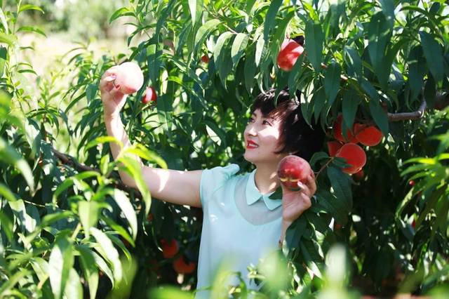 火影忍者本子 漫画acg 游戏或官方衍生作品感兴趣