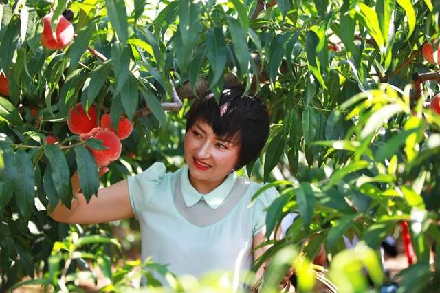 老狼二区忘忧草大豆行情 听市场里的忧草人说