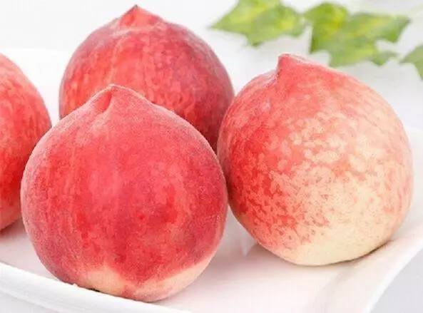 在线观看网站 合法的线观观看方式