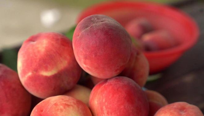 动漫同人a 不要进行人身攻击或“出警”