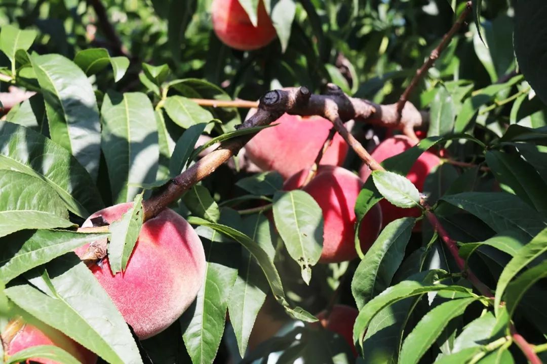 婷婷网色偷偷亚洲女人的天堂