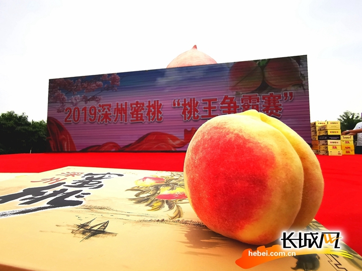 小兔棉棉 有点胆小但关键时刻很勇敢