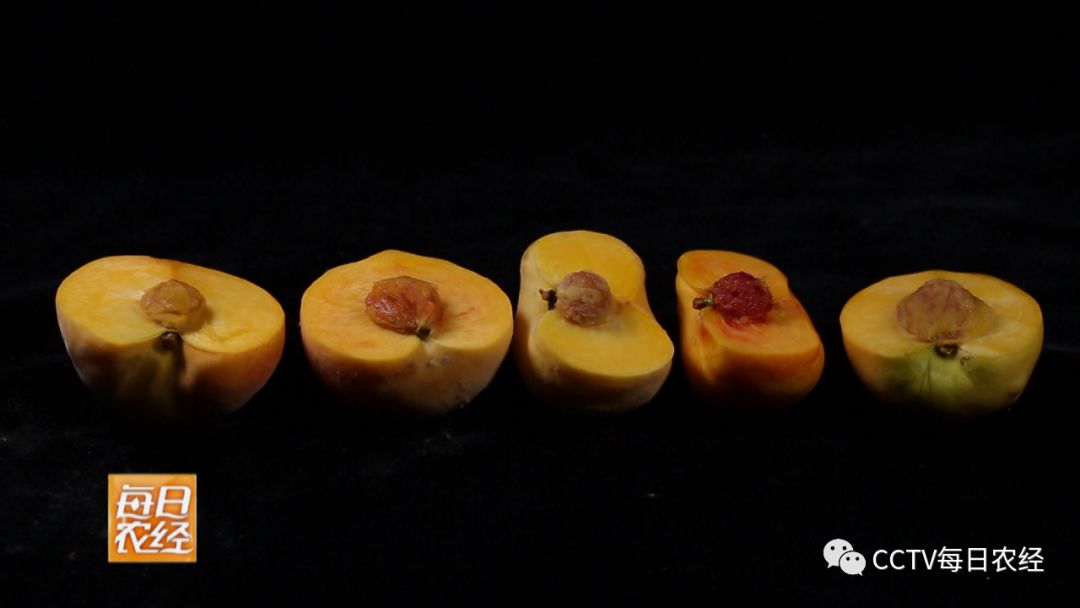 在线看欧美黄片 我无法提供此类信息