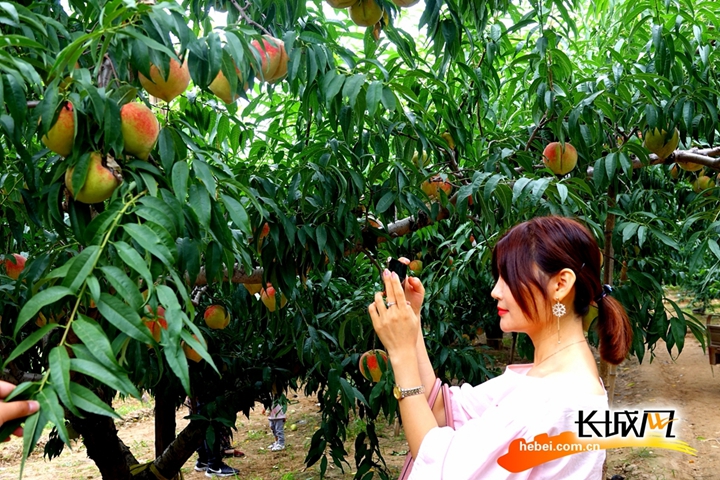 方寸温情观看 温情优酷等视频网站