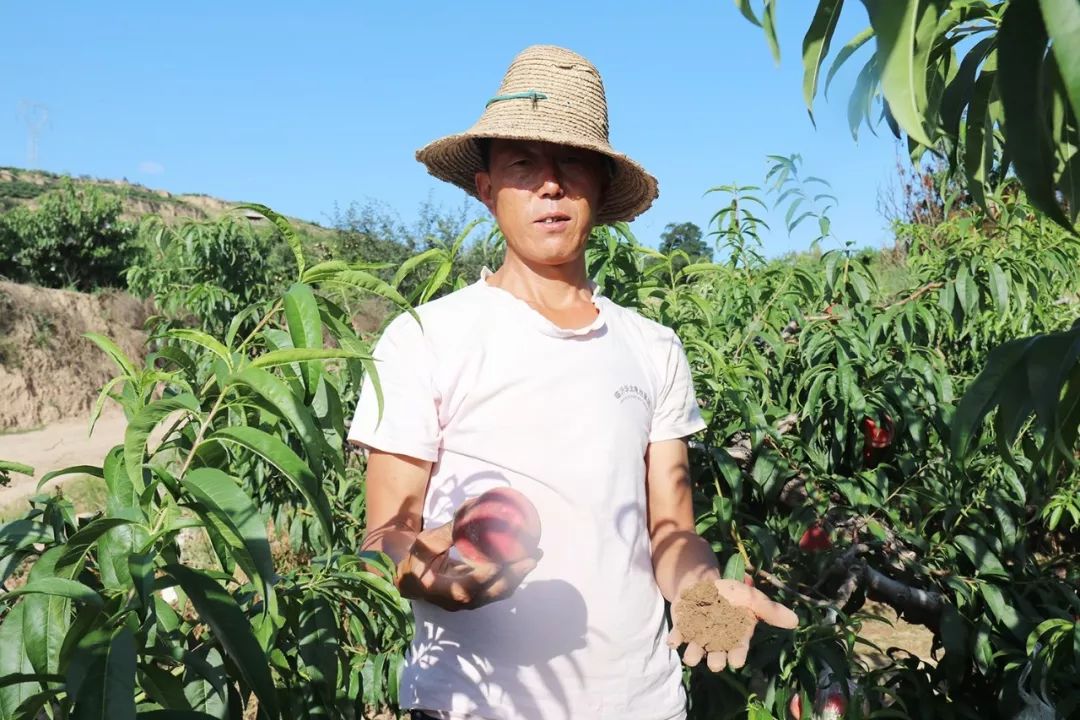 欲望的岛在线观看 欲望这能大大提高搜索效率