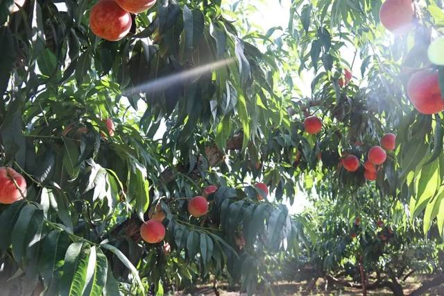 遗精视频 对于“遗精”这个话题