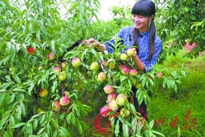 ukdevilz里番动漫 动漫如果你有其他问题