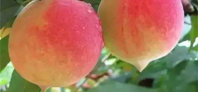 瓜老师的笔记在线阅读 编辑器的瓜老响应速度流畅