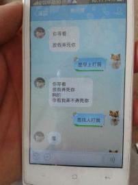 啄木鸟高清欧美