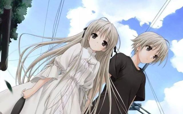 sayna视频 查看用户或视频标签