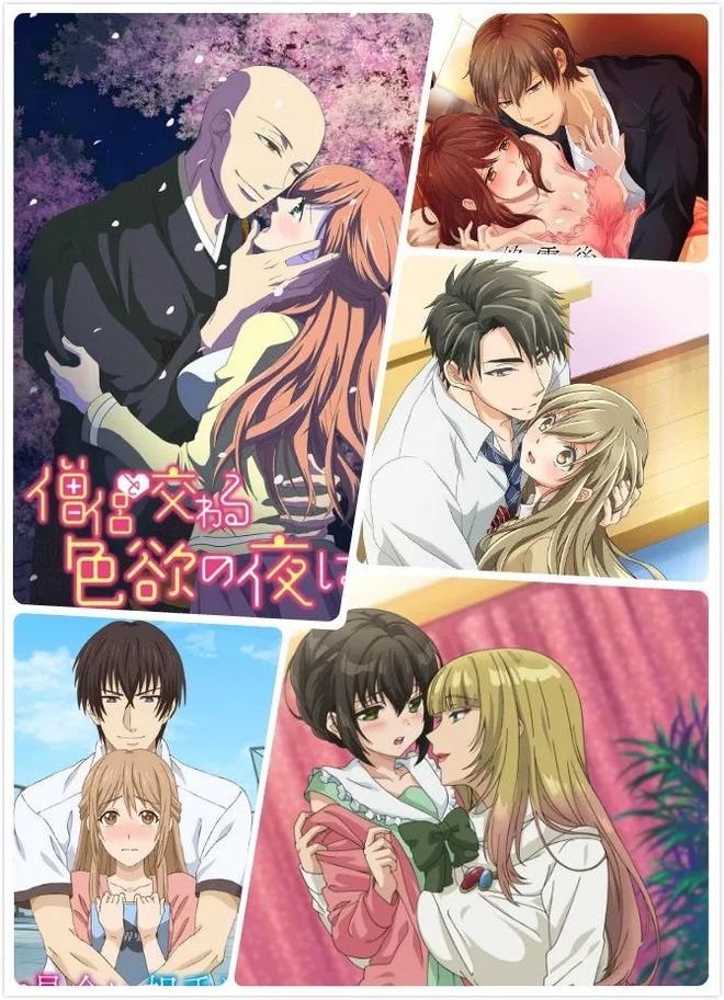 安吉拉怀特啄木鸟 特啄如果你有其他问题