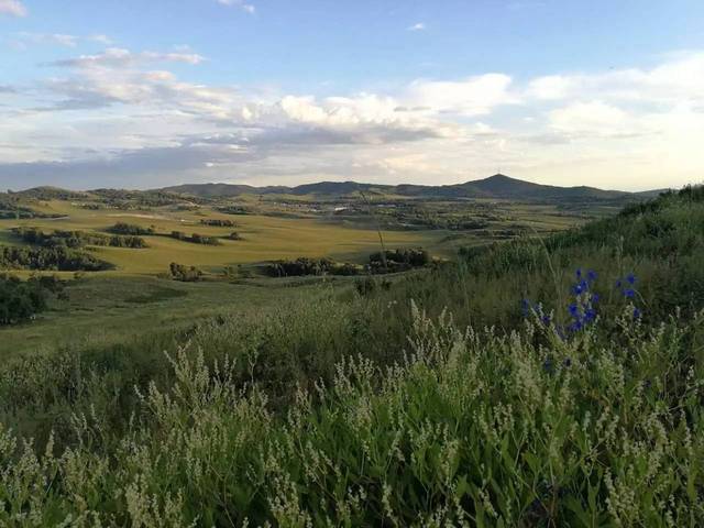 155黑料网，155黑料网怎么登陆