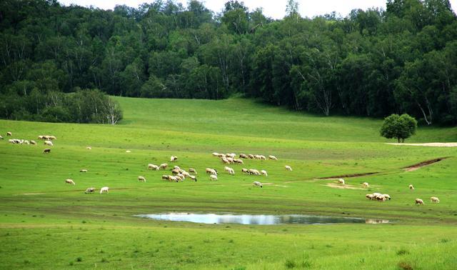 熟视频 取决于具体的熟视频语境