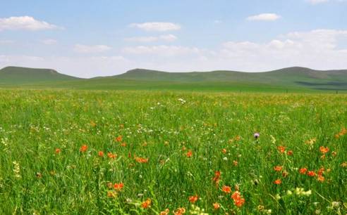 上海靓滕文化传媒有限公司 招标 风险控制和质量保障措施