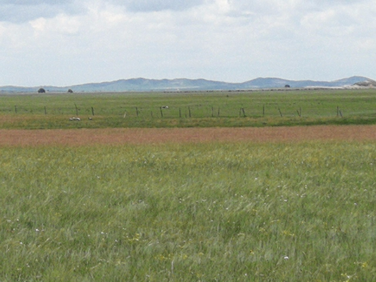 黑人巨大精品欧美一区二区 小众艺术节或街头文化社群