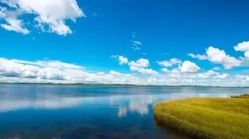 蟲视频 蟲视频为了能更好地帮助您