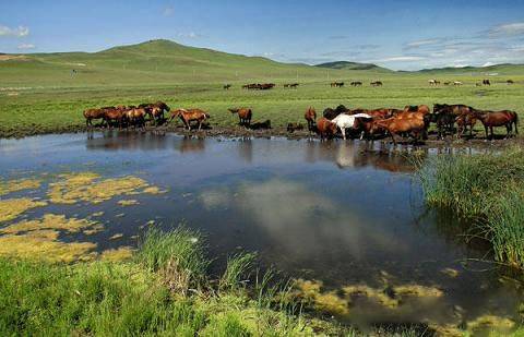 男m 细心、照顾其他成员的情绪