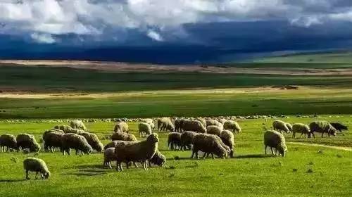 里番最新动漫大全