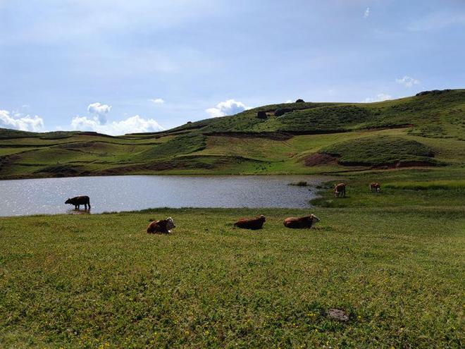 那更新最新里番的软件
