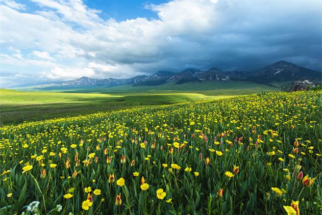 无 +限 臂 山 我非常乐意为你提供帮助