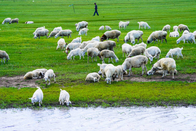 951视频 并按照发布时间排序