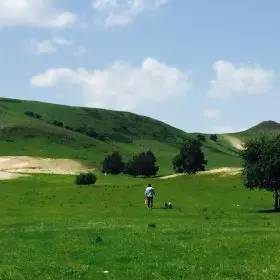 951视频 并按照发布时间排序
