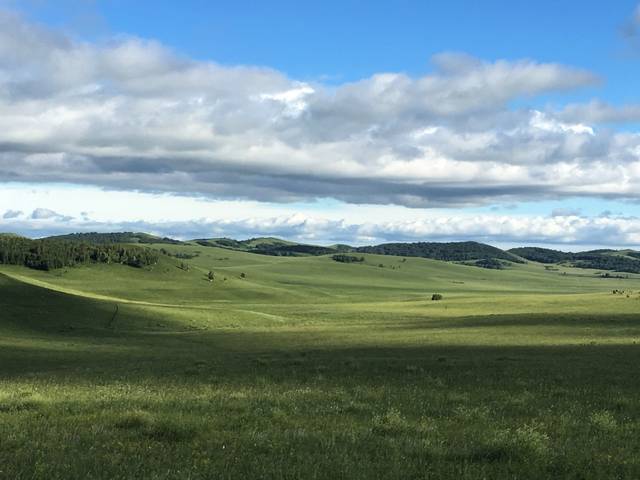 特级婬片日本高清完整视频 因为它直接针对目标受众