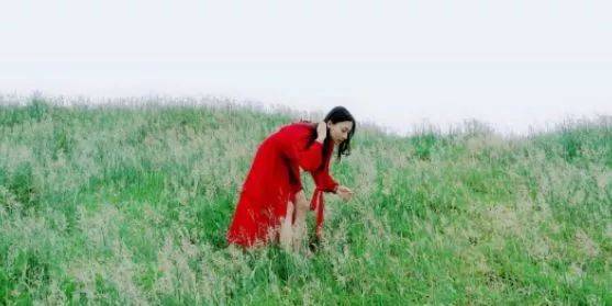 黑料最新 黑料最新信息刷新频率高