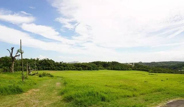 日韩精品无码专区国产