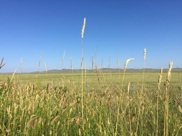 国产麻豆剧传媒精品国产AV