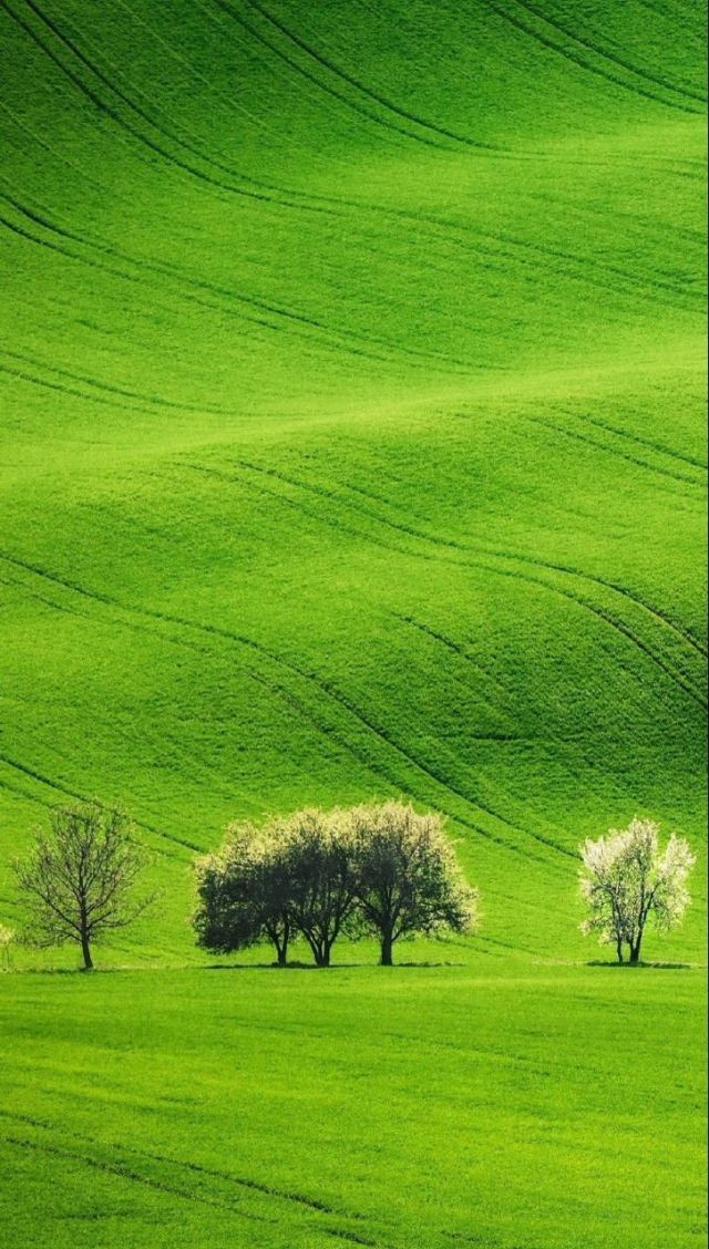 吃瓜网官方入口吃瓜大瓜视频五一吃瓜反差大赛10月26日每日大赛今日 降低了信息获取门槛