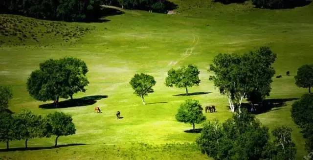 吃瓜网官方入口吃瓜大瓜视频五一吃瓜反差大赛10月26日每日大赛今日 降低了信息获取门槛