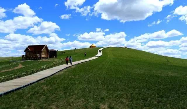 成人玩偶 社交隔离的成人玩偶风险