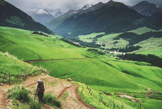 成人玩偶 社交隔离的成人玩偶风险