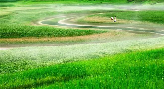 16擦边短视频明年去年 年去年监管只会更紧