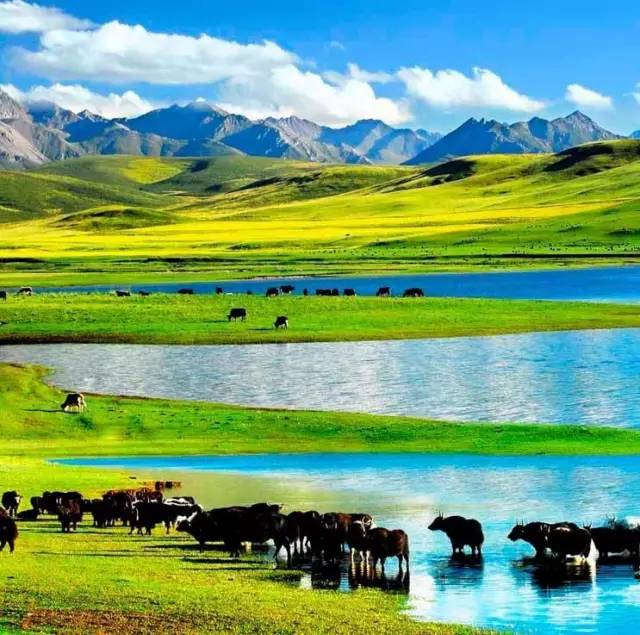 陈冠希张柏芝事件